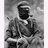 zapata0586