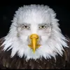 zxccvvvasddf10103