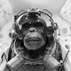 spaceape7771