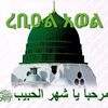 rabiaaliseid
