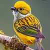 user6103061614323