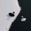 areeba_aesthetic30