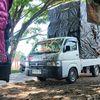 msd_putra