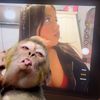 brittany_canales222