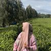 synta.pake.y