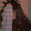 ayeshayousufzai19