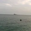 pesetanuclear