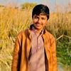 muhammad.noman6218