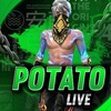 potato_live0