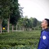 Mulya 2018