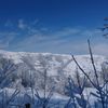 043_lerik7