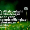 samaa7987