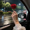yodgora_07
