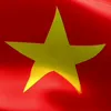 chanhkochua409