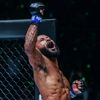 elg_mma