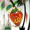 oaredhseen