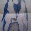 hiwot.abebe70
