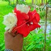 user4716094478109