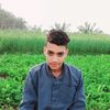 user8124848192874