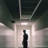 qreya_