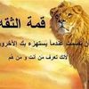 user5757902184953