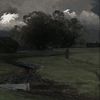 zxna_rvol2
