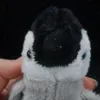 hedgehog_lover74