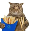 Laydawn 🍟
