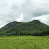 bagaslinggau