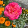 richie_735