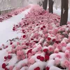 ruby.nguyn174