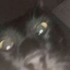 emmaz9680