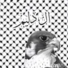 a_sam34p