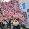 yuyan_travel