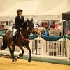 oliviawilson.sj2