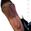 bomba_clat12345