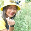 dle_vikky