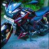 caballo4431