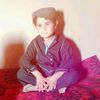 arash0233