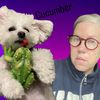 nicci_cucumber