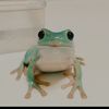 jade04990