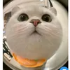 soc_834