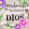 ledis.berthel
