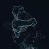 laroxy_1295