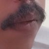 pradi04060311