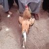 ahsan.laghari682