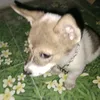 kobiet_56