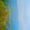 jiban.chaudhary43
