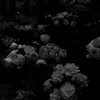 kizexmc_0