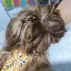 ella_124521